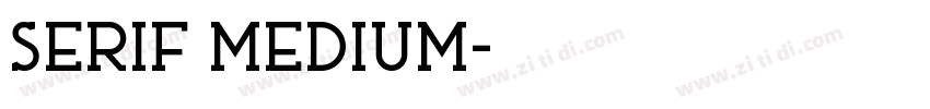 Serif Medium字体转换 Serif Medium字体转换